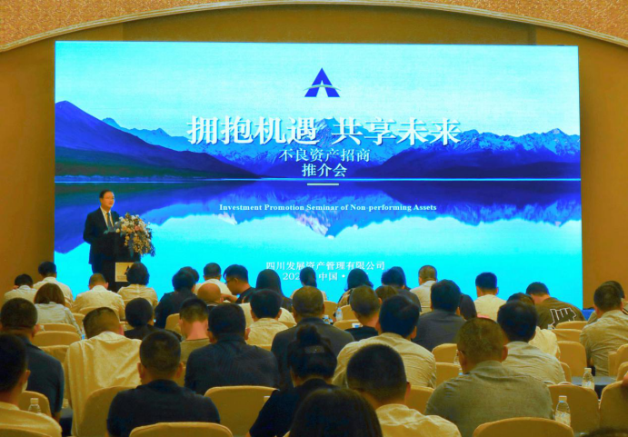 开云手机端·官方版在线成功举办不良资产招商推介会